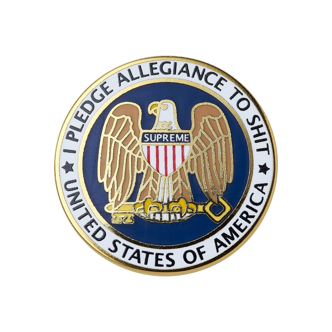 Pledge Allegiance Pin view 2